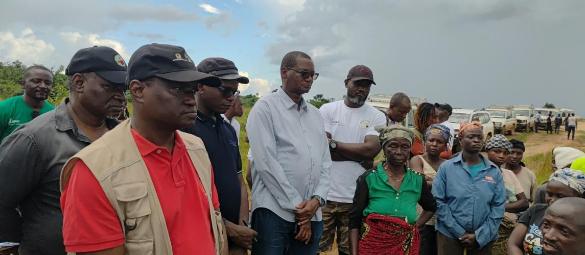 NEW IFAD COUNTRY DIRECTOR HIGHLIGHTS GAINS FROM LIBERIA–IFAD AGRICULTURAL PARTNERSHIP